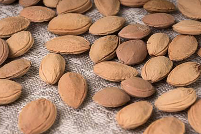 Косточки сливы