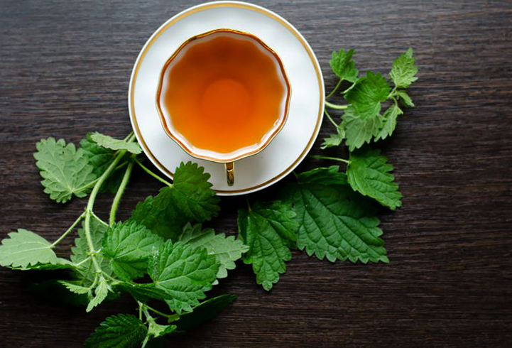 Крапивный чай