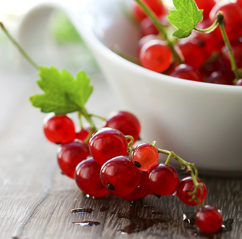 Красная смородина