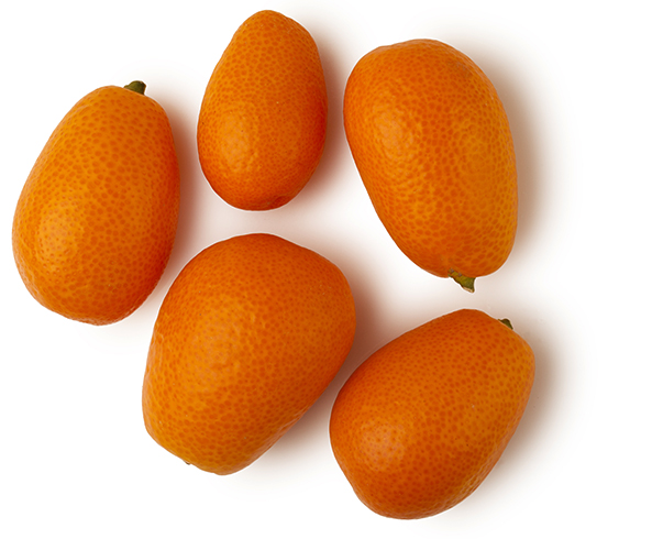 Много кумквата