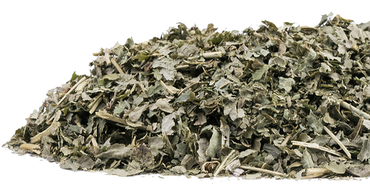 Сушенные листья ежевики