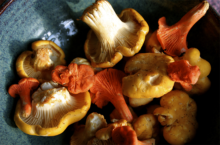 Лисички в сковороде