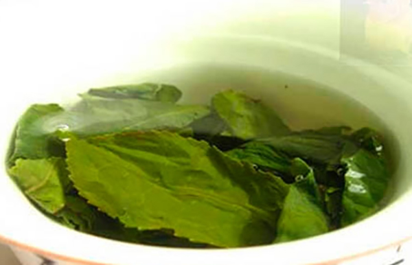 Приготовление подорожника