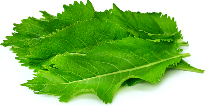 Листья хрена