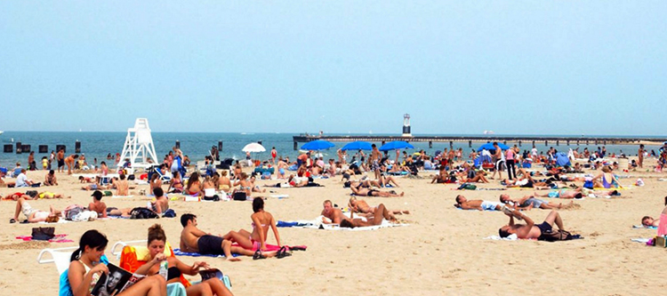 Люди загарают