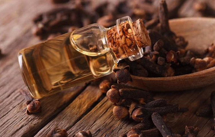 Масло гвоздики