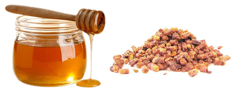 Мед и перга