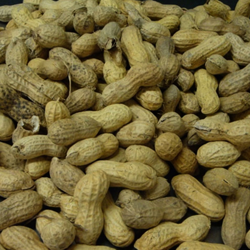 Много арахиса