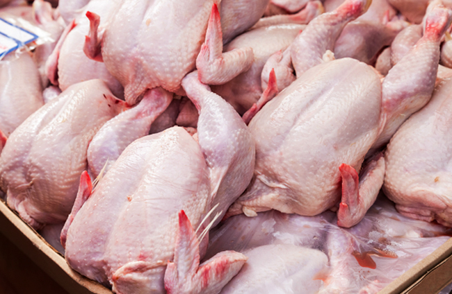 Много курицы