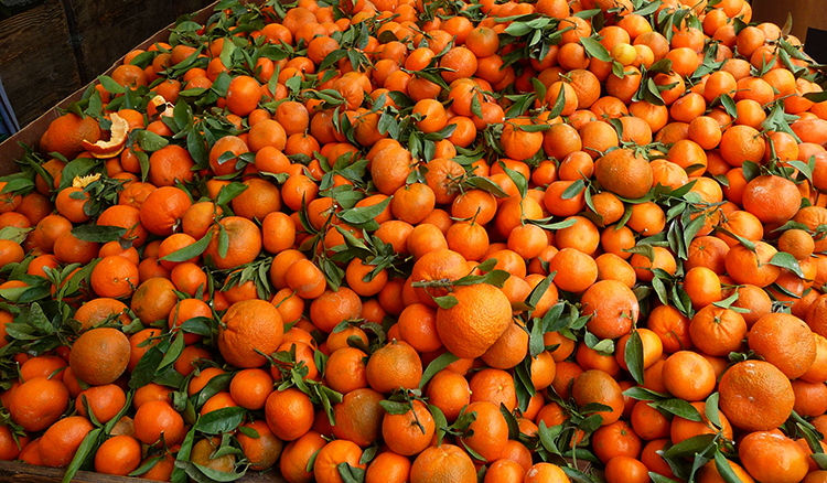 Много мандаринов