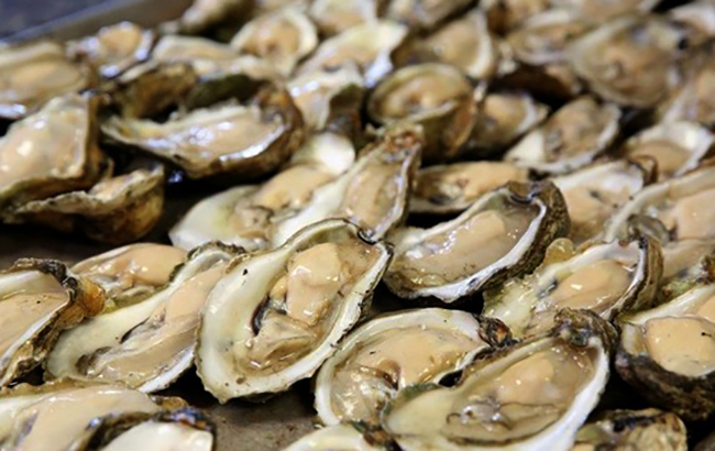 Много устриц