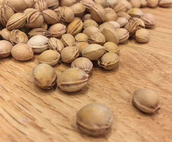 Вишневые косточки