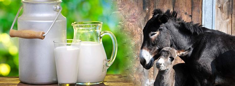 Молоко ослиное
