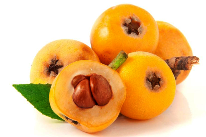 Мушмула японская