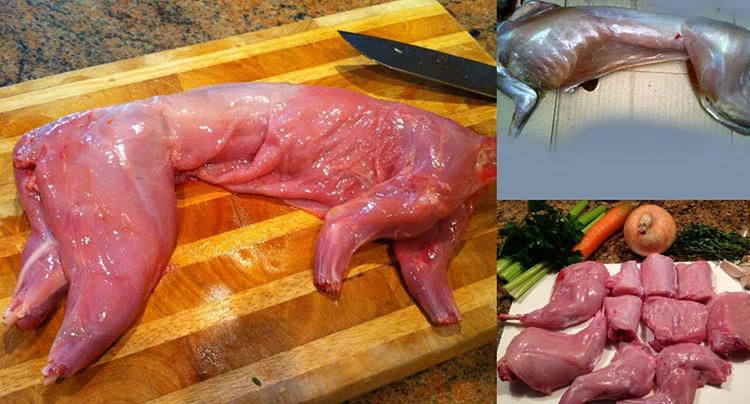 Мясо кролика