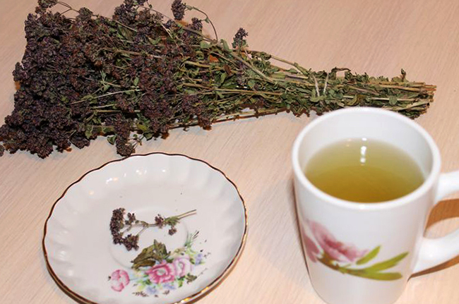 Настой душицы