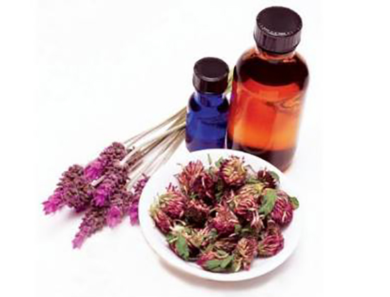 Настойка клевера