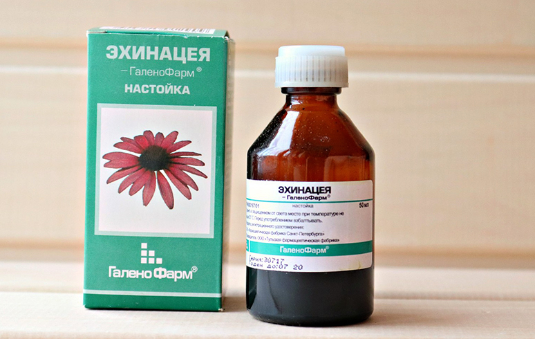 Настойка эхинацеи