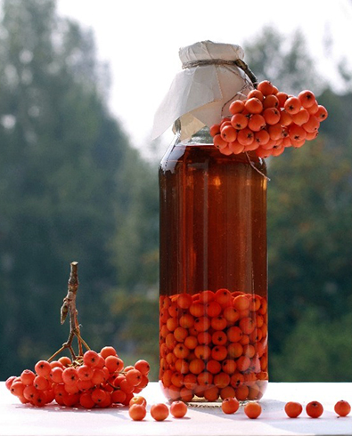 Настойка рябины