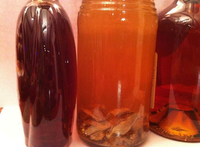 Настойка струи бобра