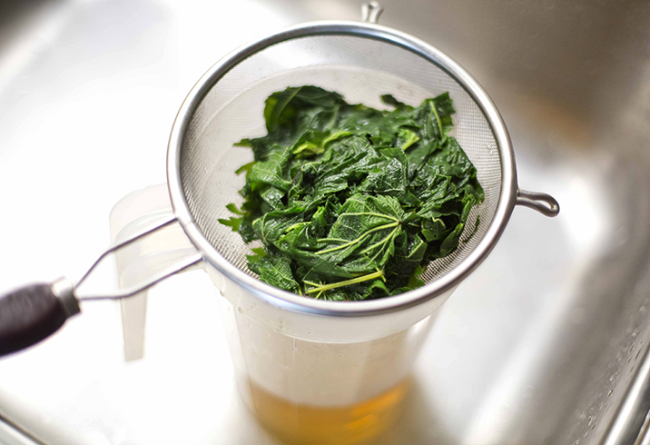 Отвар из крапивы