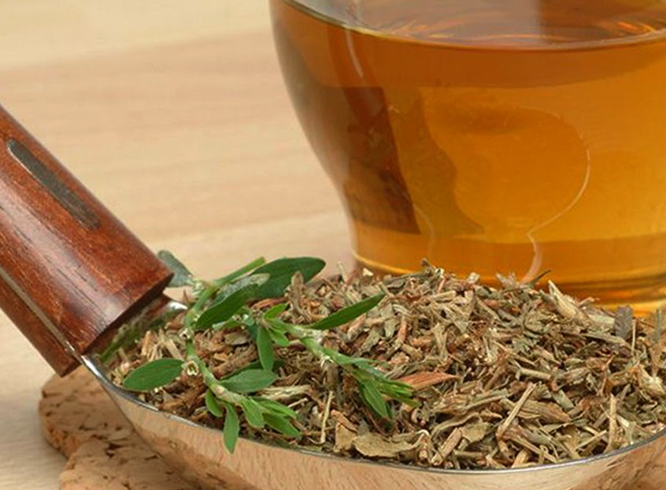 Отвар из птичьего горца