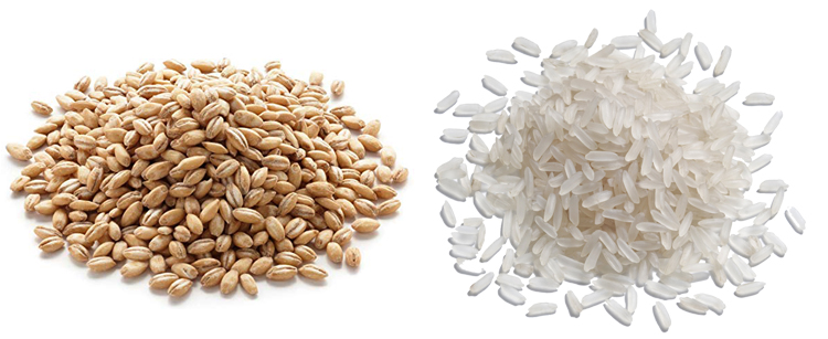 Перловка и рис