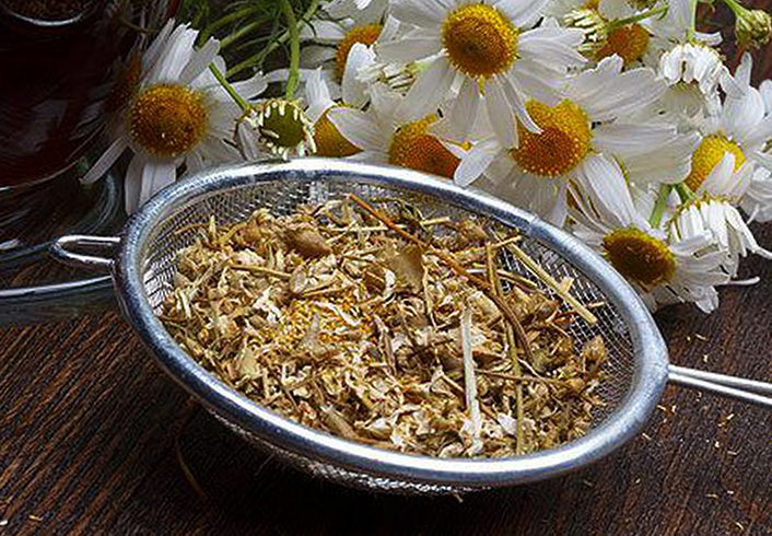 Перед завариванием ромашкового чая