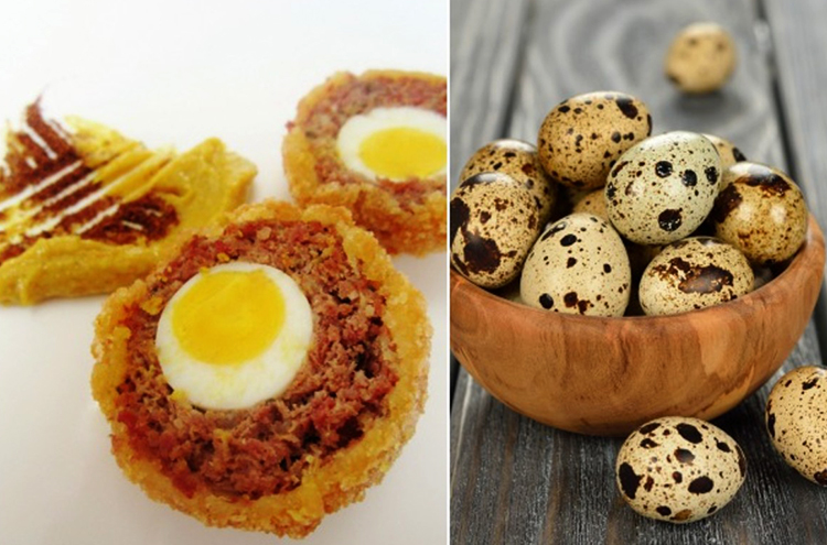 Как выглядят перепелиные яйца