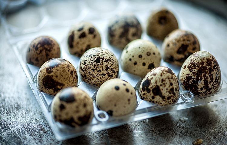 Свежие перепелиные яйца