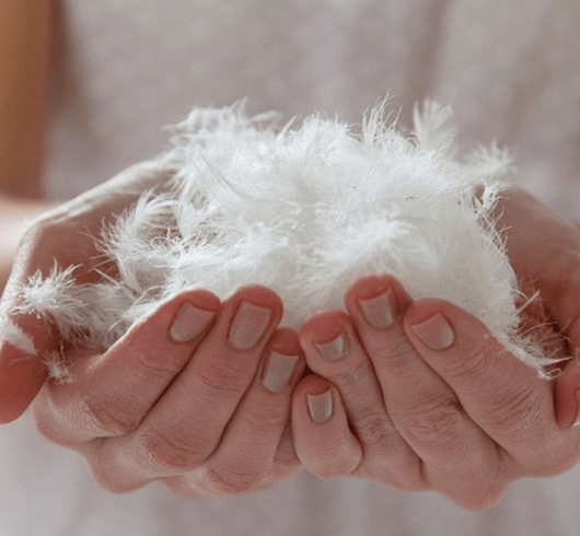 Перья в руках