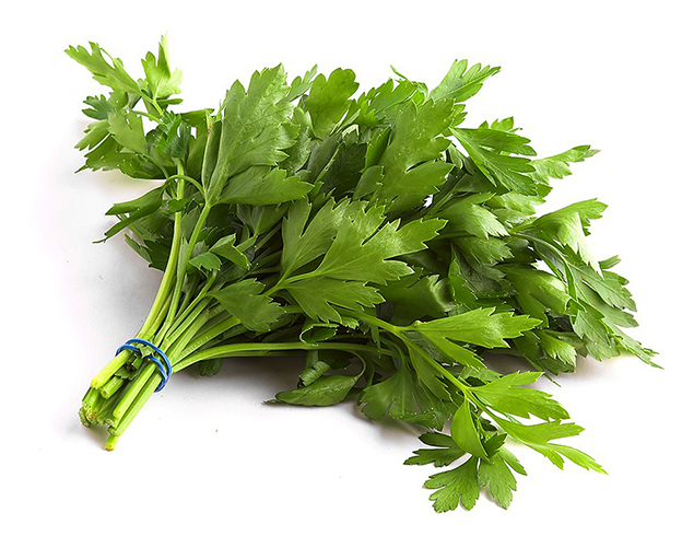 Петрушка лежит