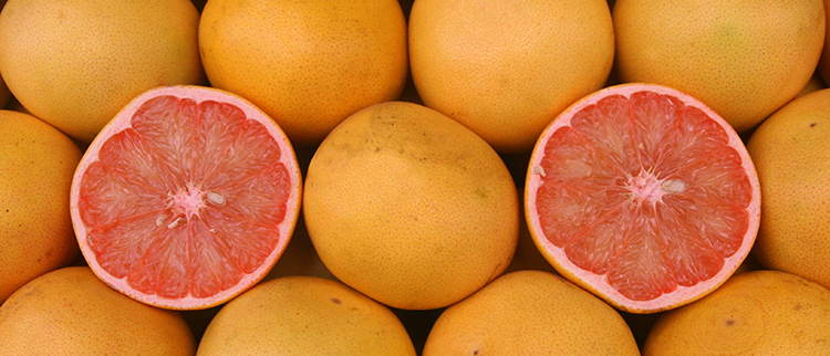 Выбор плодов