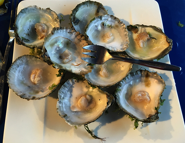 Плоские устрицы