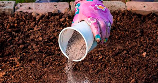 Зола из стакана