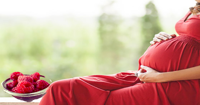 Малина и беременная