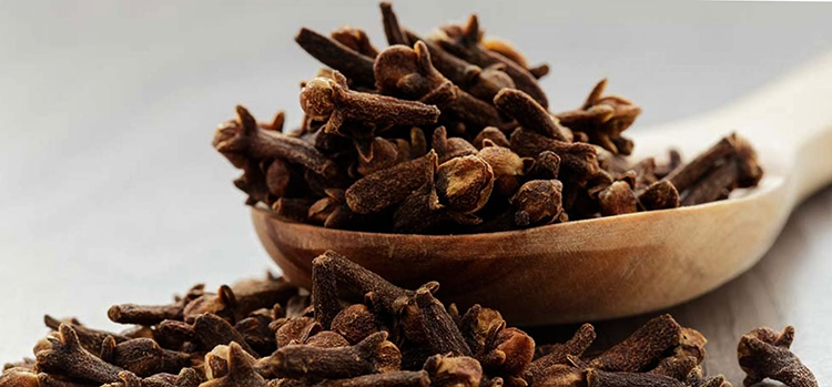 Пряность гвоздика