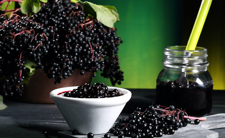 Приготовление черной бузины