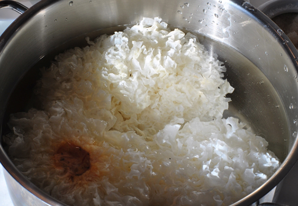 Приготовление коралловых грибов