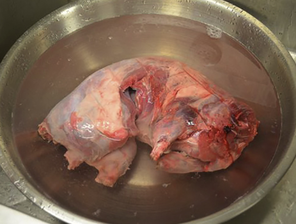 Приготовление нутрии