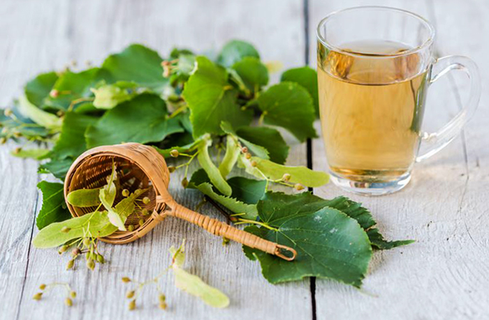 Применение липы