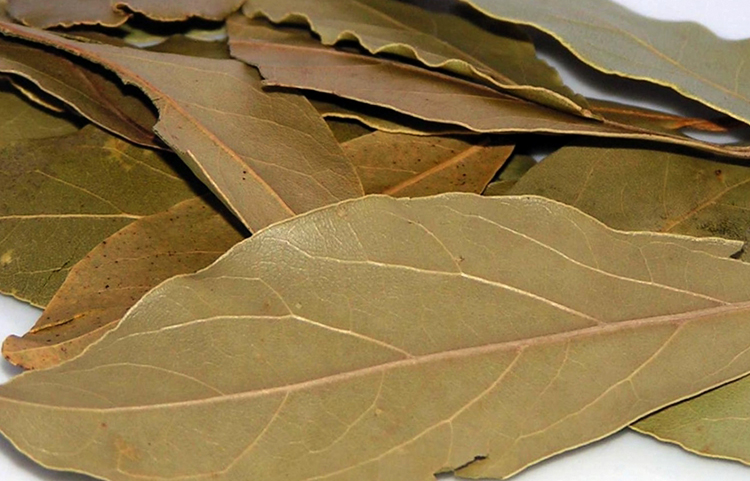 Приправа лавровый лист