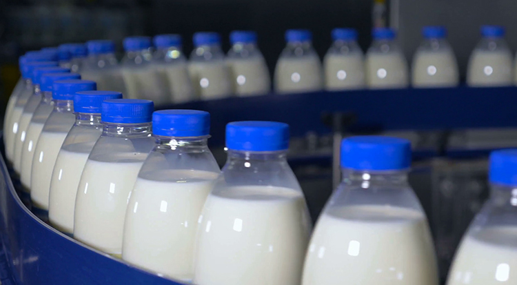 Производство молока