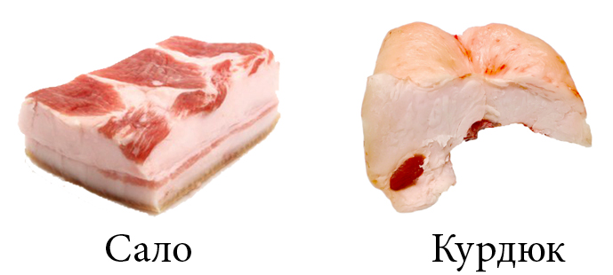 Сало и курдюк