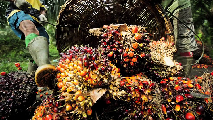 Сбор продукции