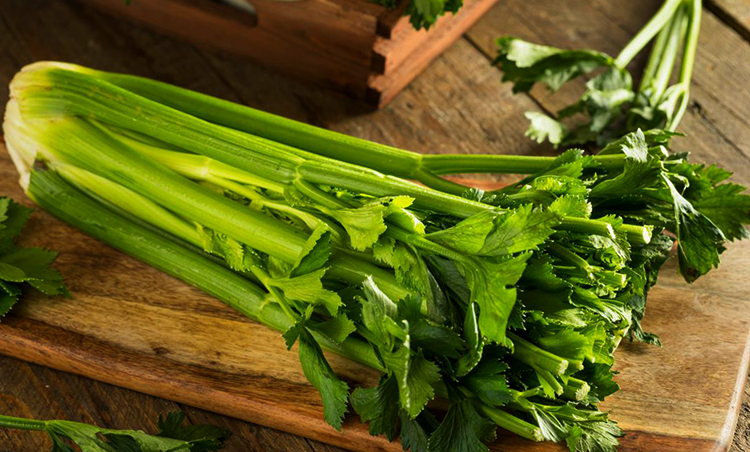 Сельдерей