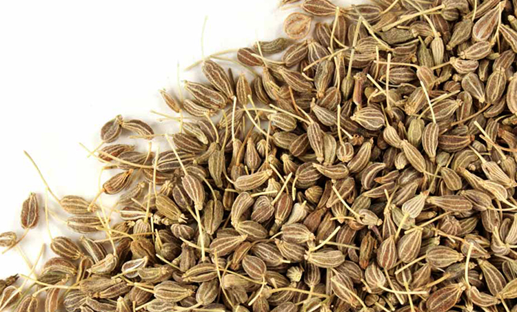 Семена аниса