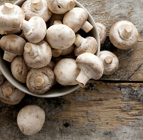 Много щампиньонов