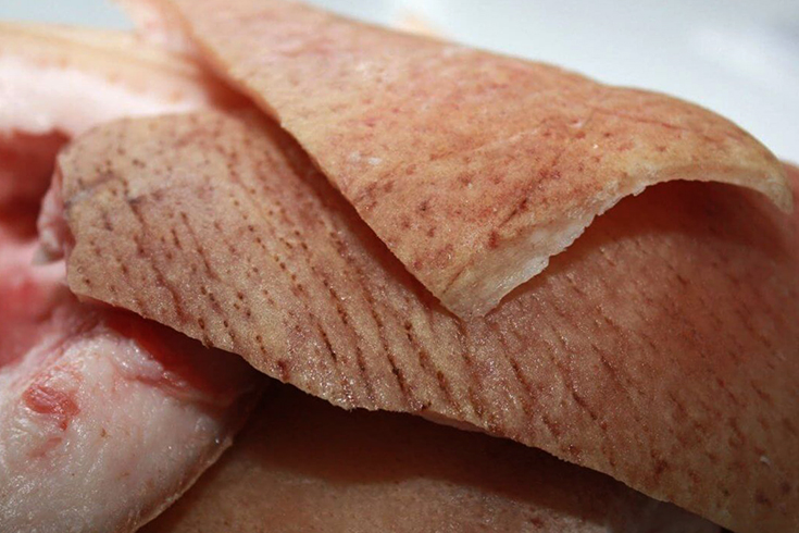 Шкура свиньи