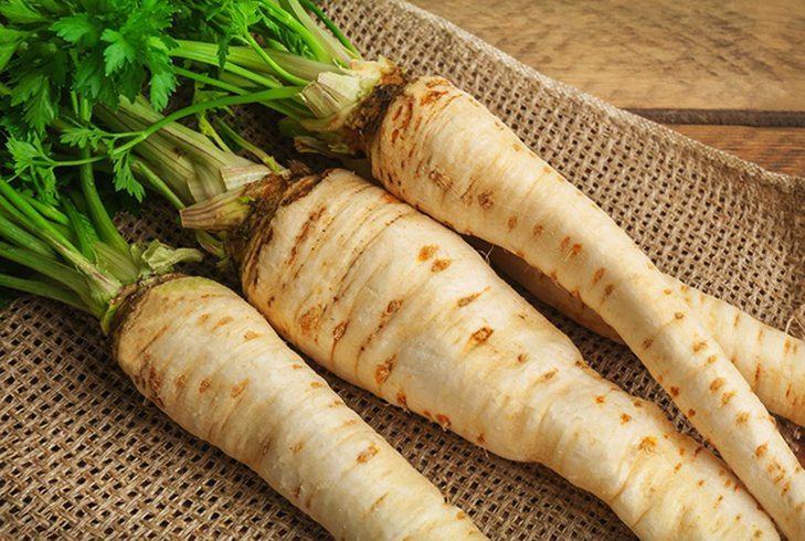 Сорванный пастернак